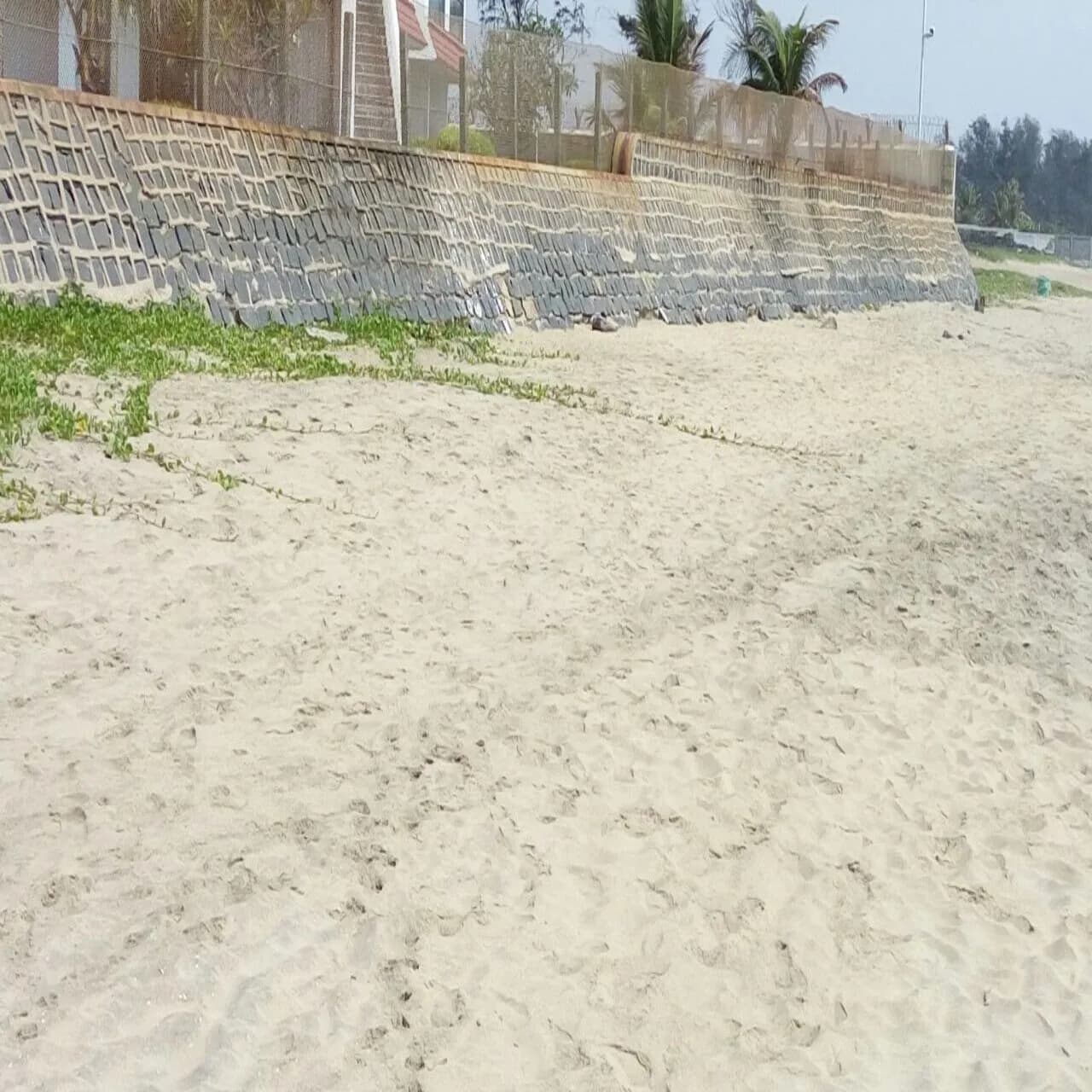 Weekly Clean up In Mamallapuram photo 3