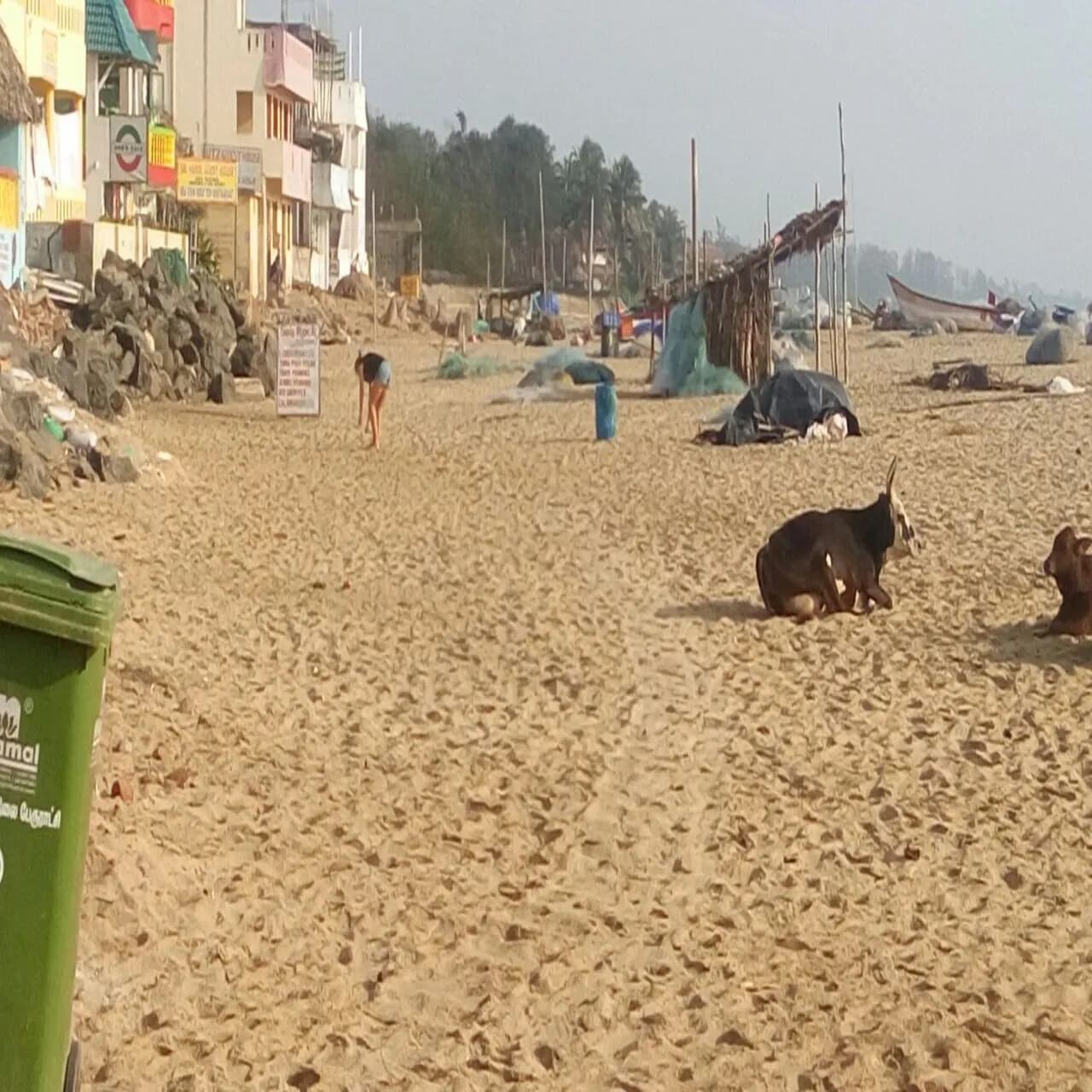 Weekly Clean up In Mamallapuram photo 7