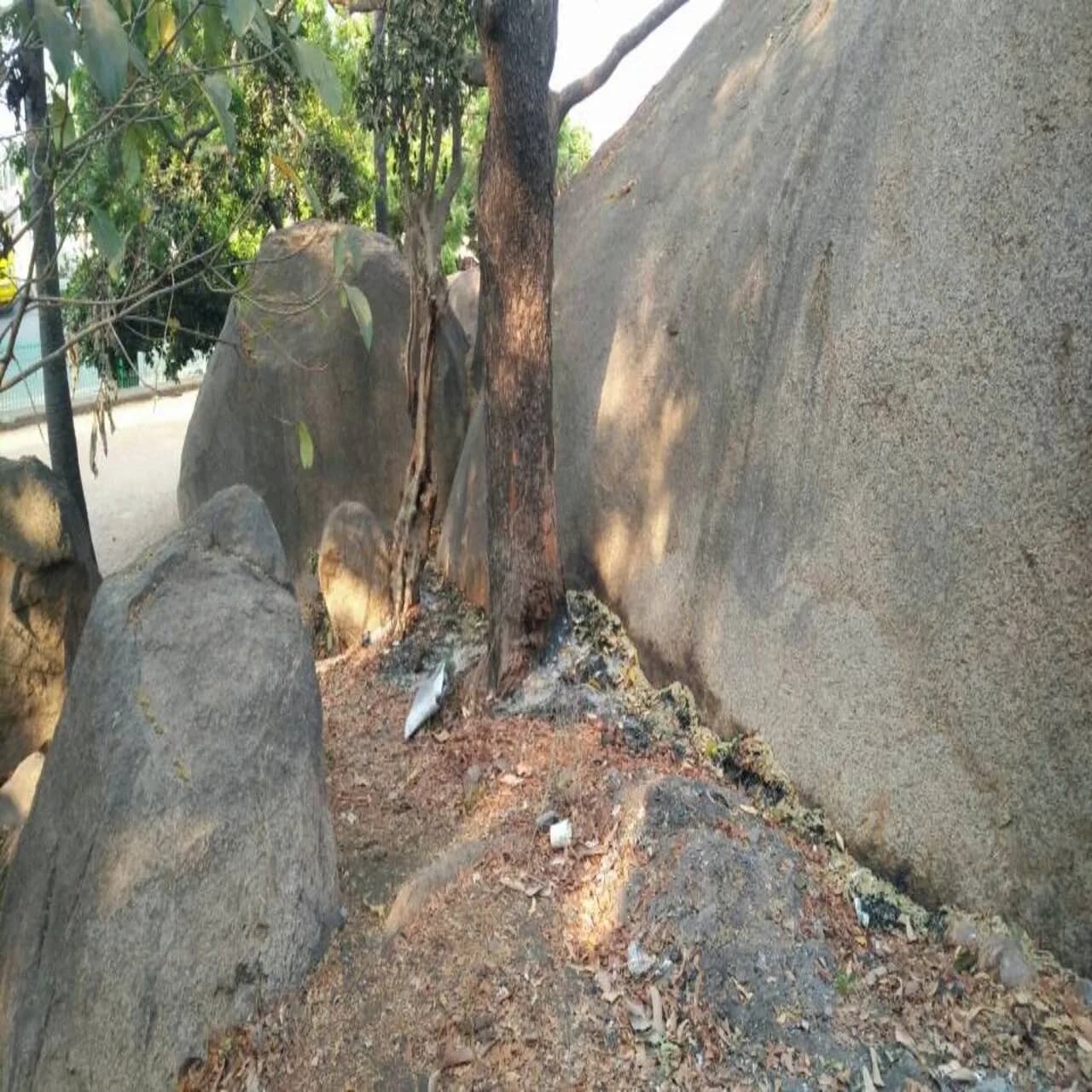 Weekly Clean up Mamallapuram photo 10