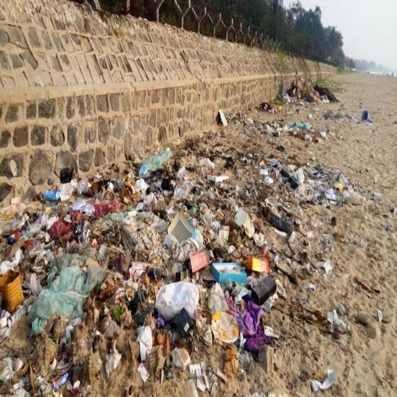 Weekly Clean up Mamallapuram photo 7