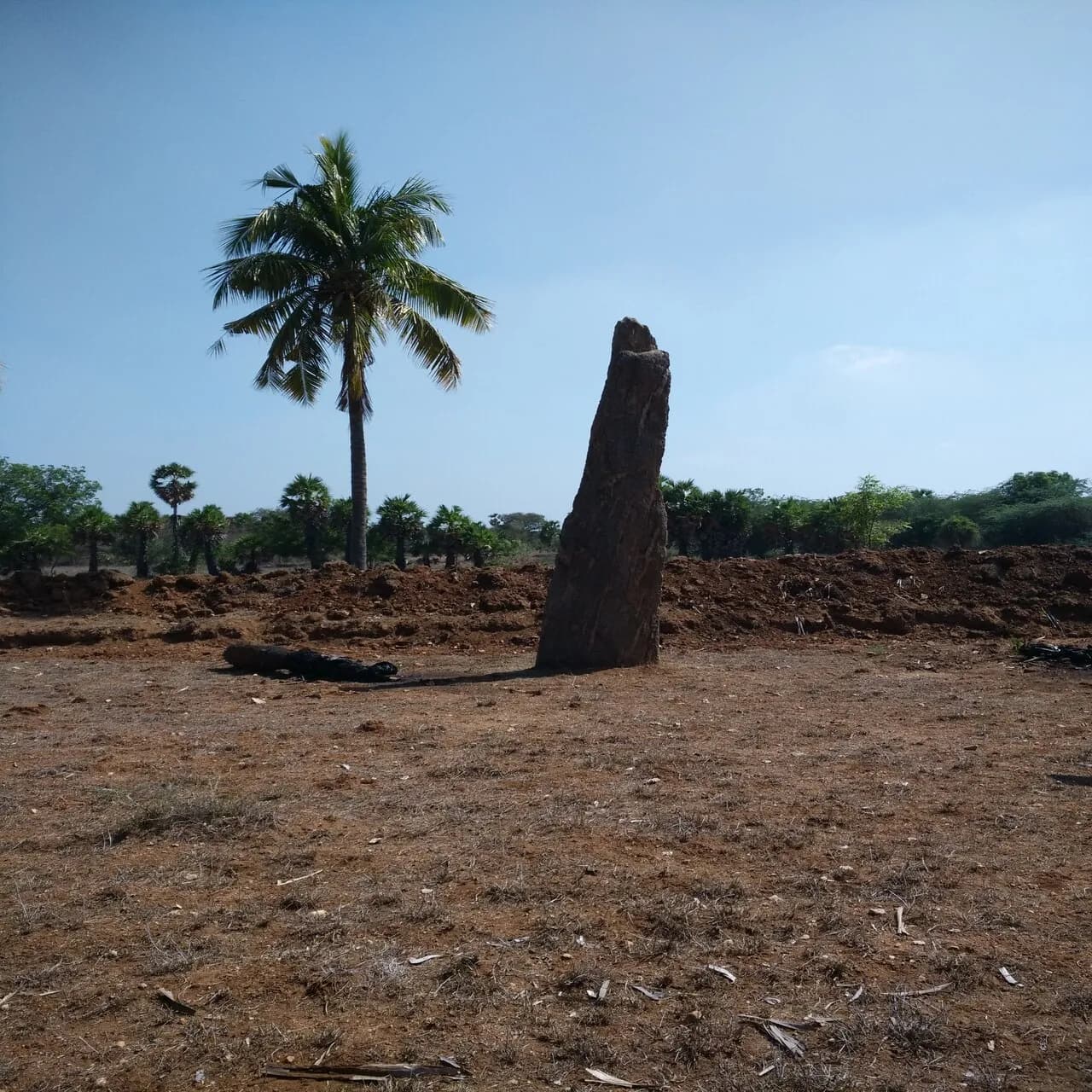 Heritage Study Tour Kongu Nadu photo 7