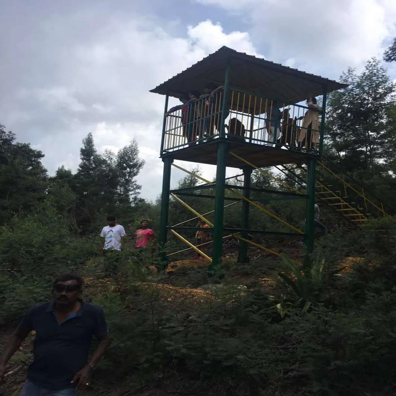 Trek in Palani Hills photo 2