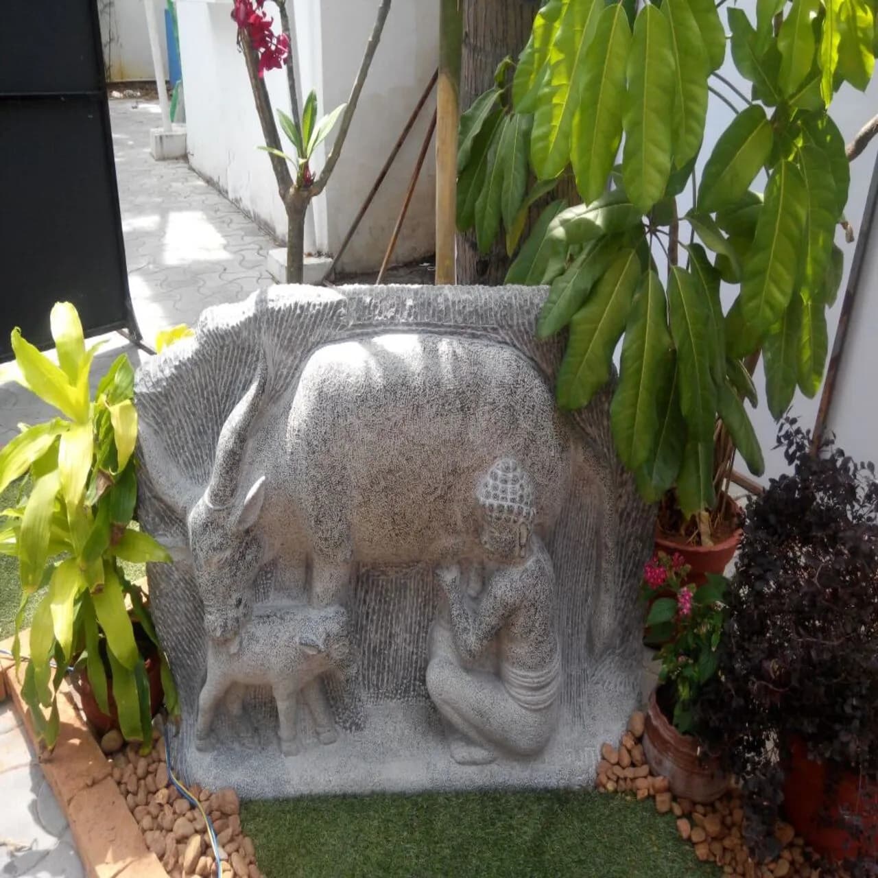 Vichitrachitta-Pallava Art Revisted photo 9